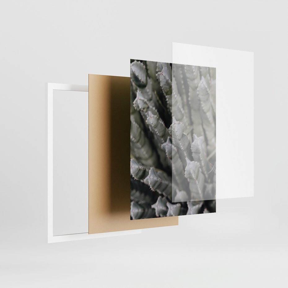 Zestaw obrazy w ramie, plakaty - kaktus, sukulent, roślina - rama biała