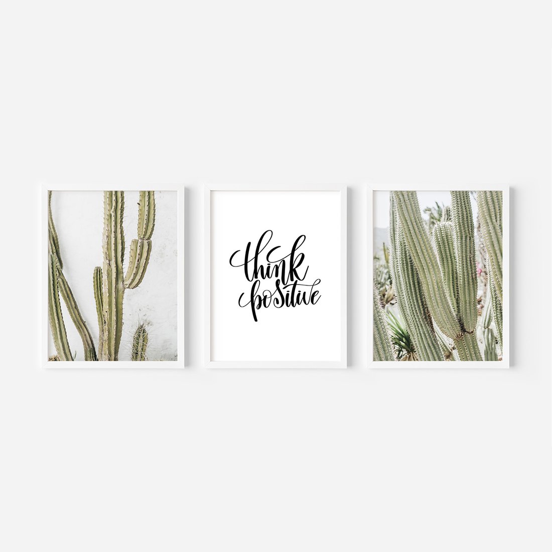 Zestaw obrazy w ramie, plakaty - kaktusy,rośliny,tekst - rama biała