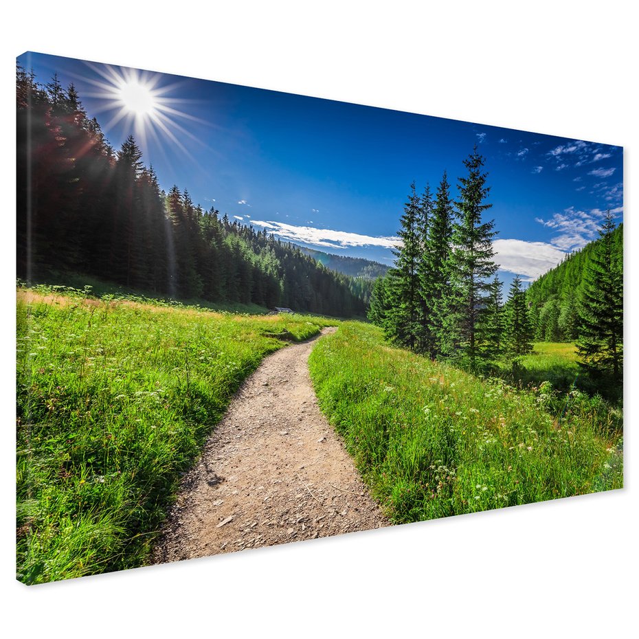 Obraz na płótnie - krajobraz, las, ścieżka