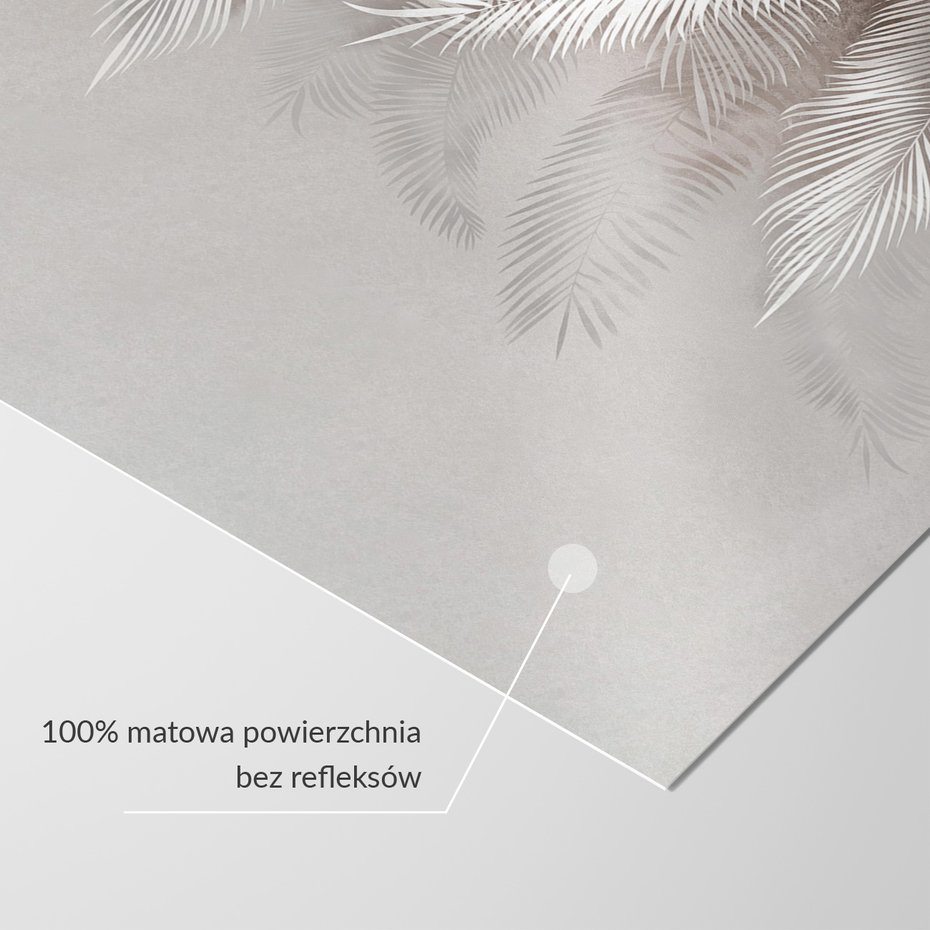 Fototapeta - beton, palmy, liście