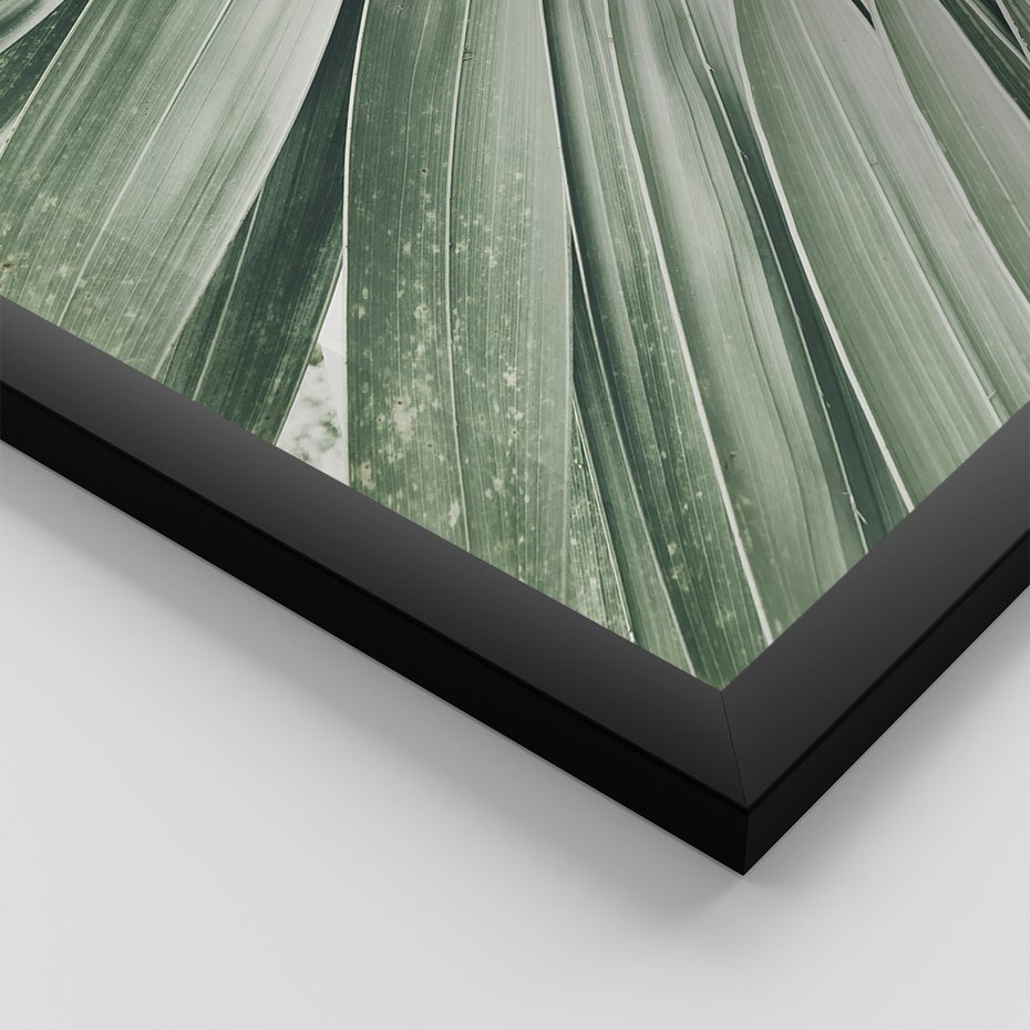 Zestaw obrazy w ramie, plakaty - liście palmowe, rośliny, natura - rama czarna