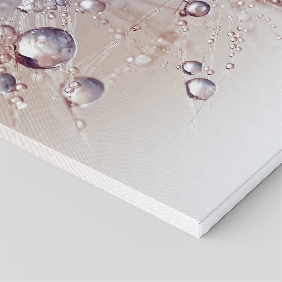 Obraz na płótnie - krople, rosa, natura