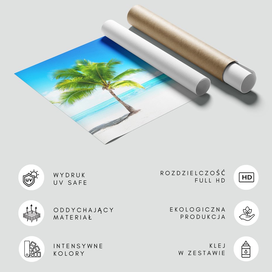 Fototapeta - palma, plaża, morze