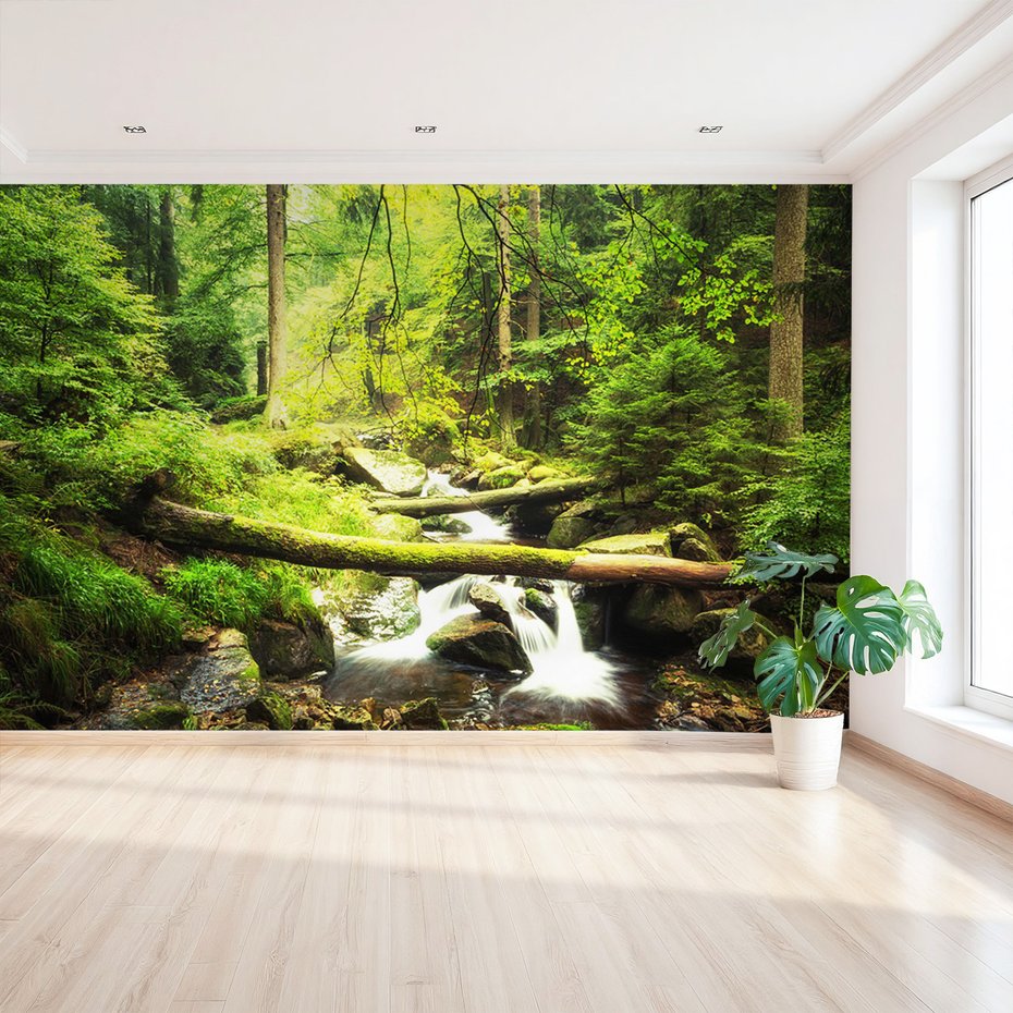 Fototapeta - las, potok, natura