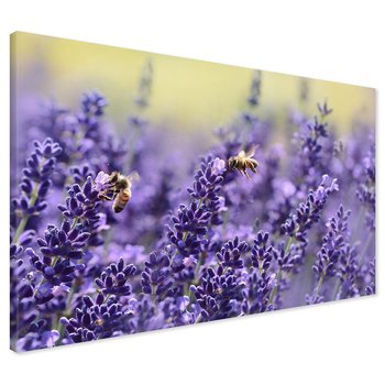 Obraz na płótnie - lawenda, pszczoły, kwiaty