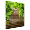 Obraz na płótnie - schody, las, natura