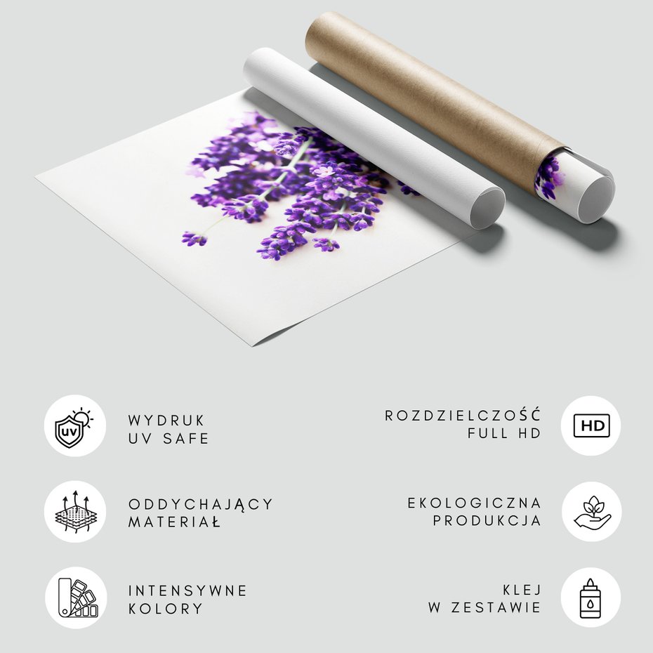 Fototapeta - lawenda, kwiaty, fioletowy