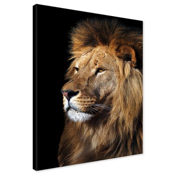 Obraz na płótnie - lew, portret, drapieżnik