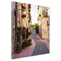 Obraz na płótnie - uliczka, kwiaty, kamień