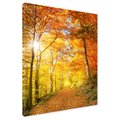 Obraz na płótnie - jesień, las, liście