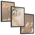 Zestaw obrazy w ramie, plakaty - kwiaty, roślina, suszone - rama czarna