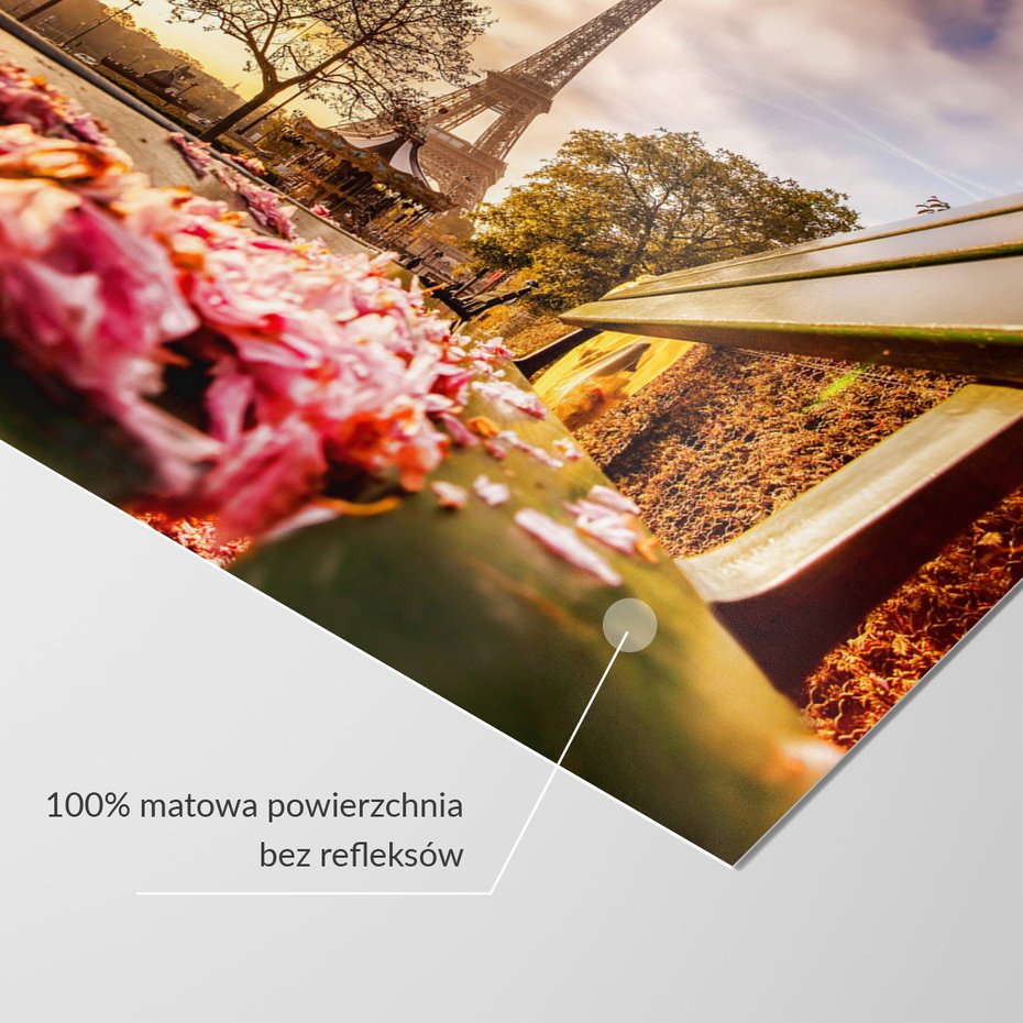 Fototapeta - Paryż, Wieża Eiffla, kwiaty