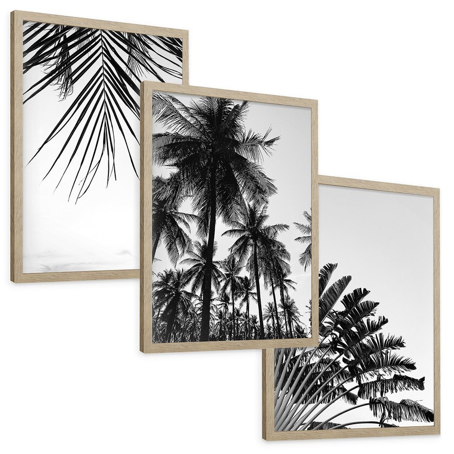 Zestaw obrazy w ramie, plakaty - palmy, liście, tropikalne - rama drewno