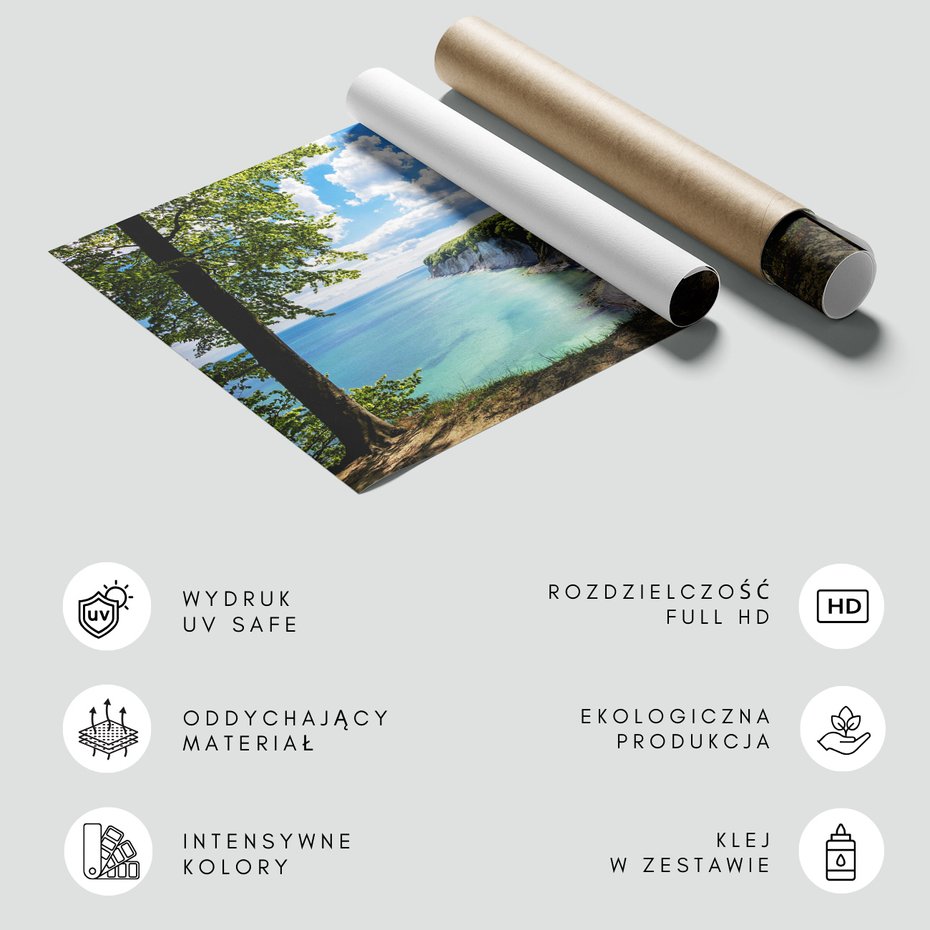 Fototapeta - klify, morze, lasy