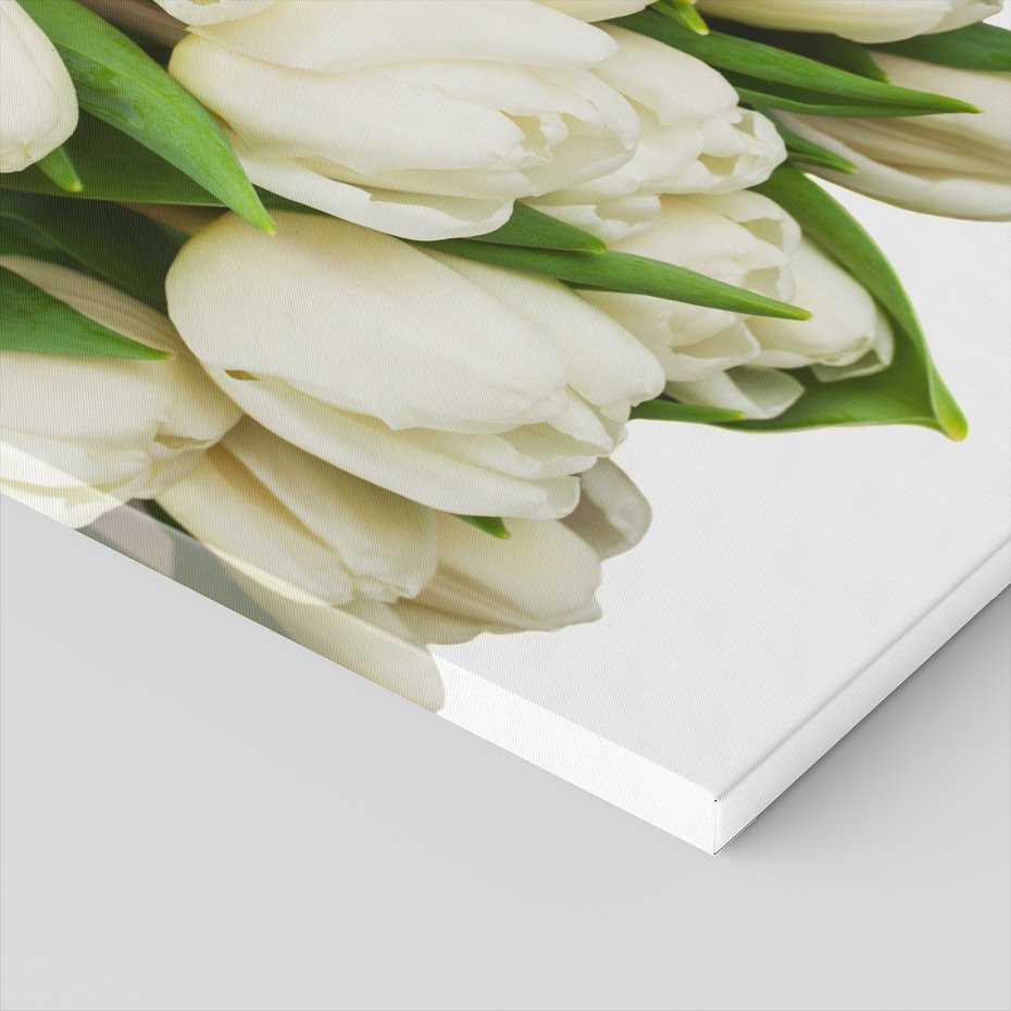 Obraz na płótnie - tulipany, kwiaty, białe