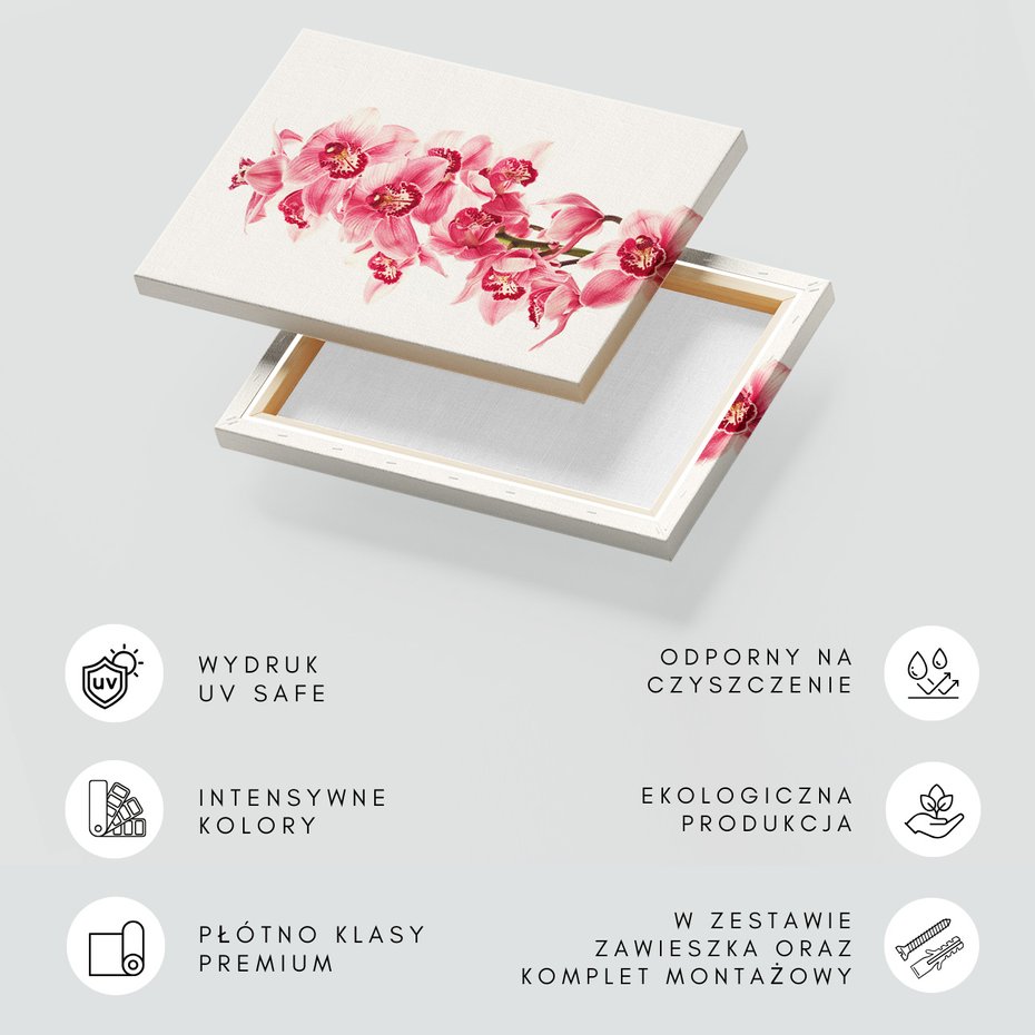 Obraz na płótnie - kwiaty, orchidee, różowe