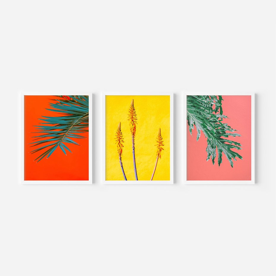 Zestaw obrazy w ramie, plakaty - liście, rośliny, kolory - rama biała