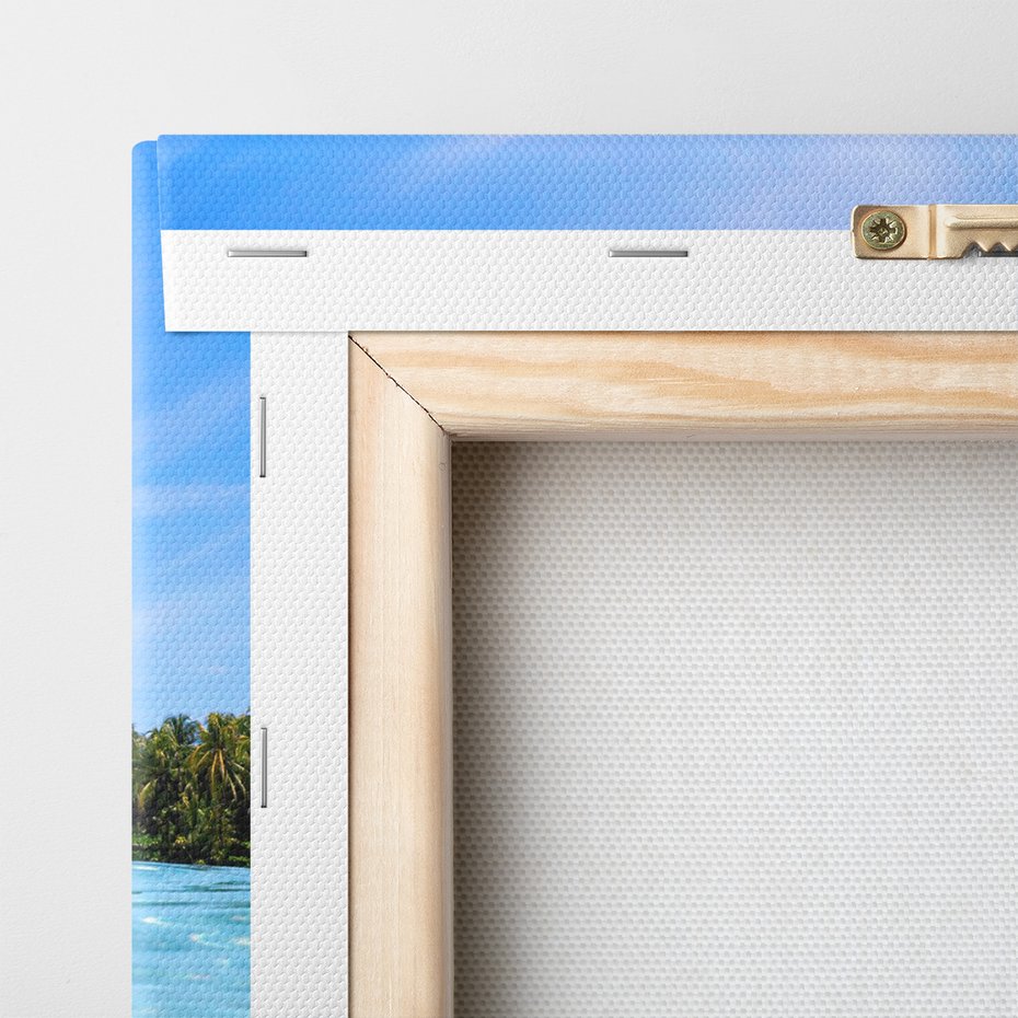 Obraz na płótnie - ryby, rafa, morze