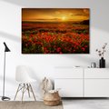 Obraz na płótnie - maki, pole, zachód słońca