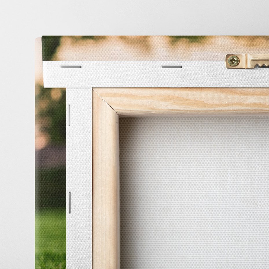 Obraz na płótnie - piłka, trawa, sport