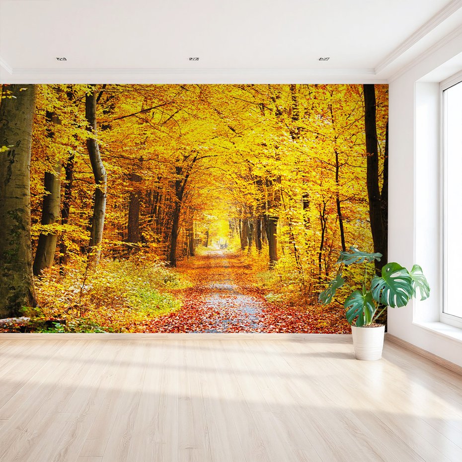 Fototapeta - jesień, las, liście