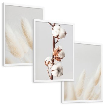 Zestaw obrazy w ramie, plakaty - bawełna, trawa, puszysty - rama biała