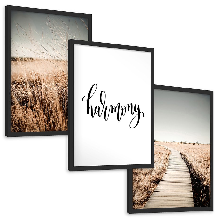 Zestaw obrazy w ramie, plakaty - przyroda, polne, krajobraz - rama czarna