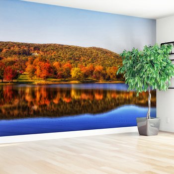 Fototapeta - jezioro, las, jesień