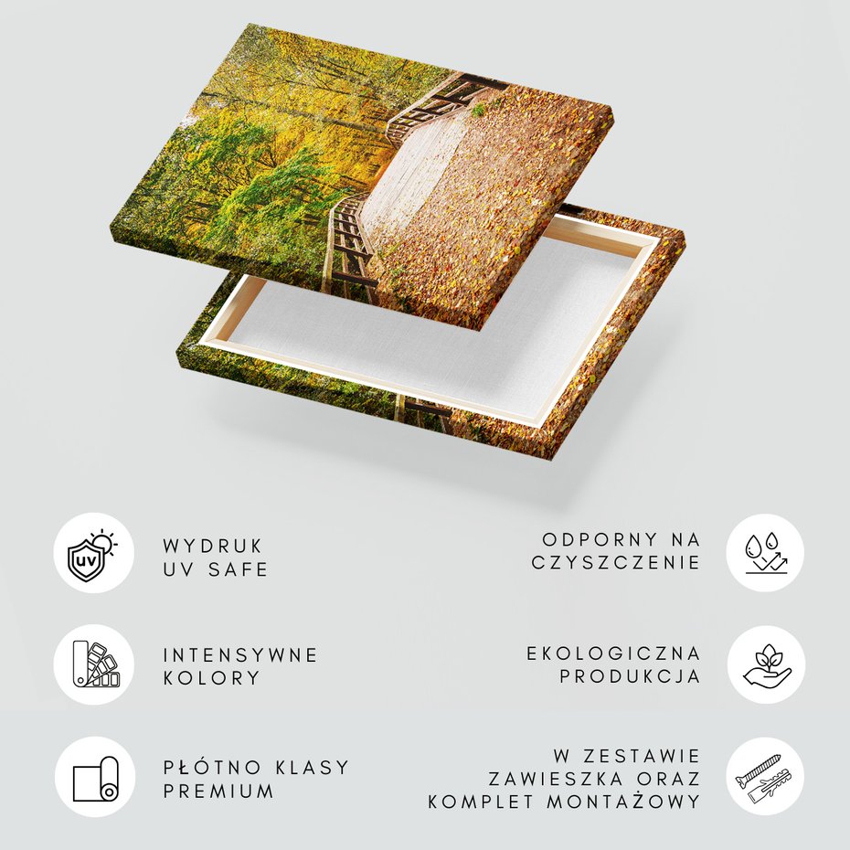 Obraz na płótnie - jesień, most, liście