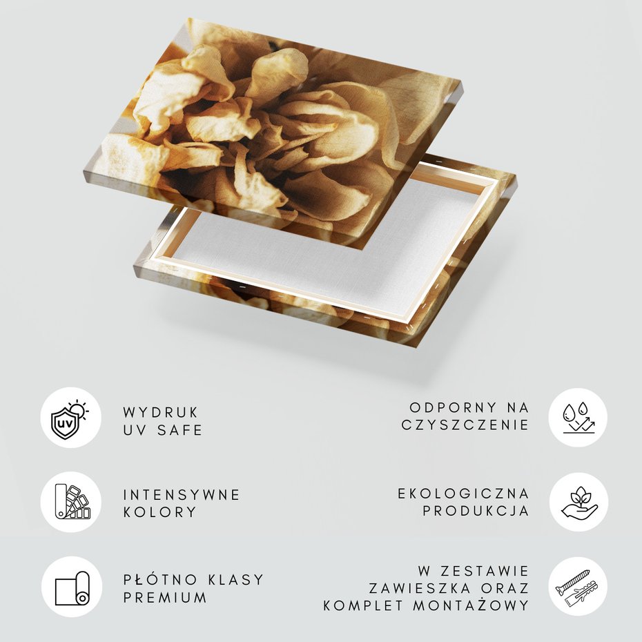 Obraz na płótnie - kwiat, płatki, suche