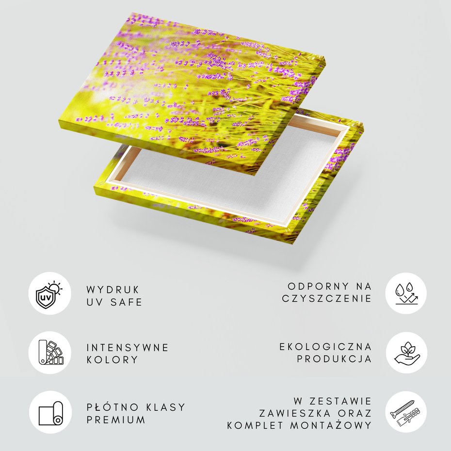 Obraz na płótnie - lawenda, kwiaty, natura