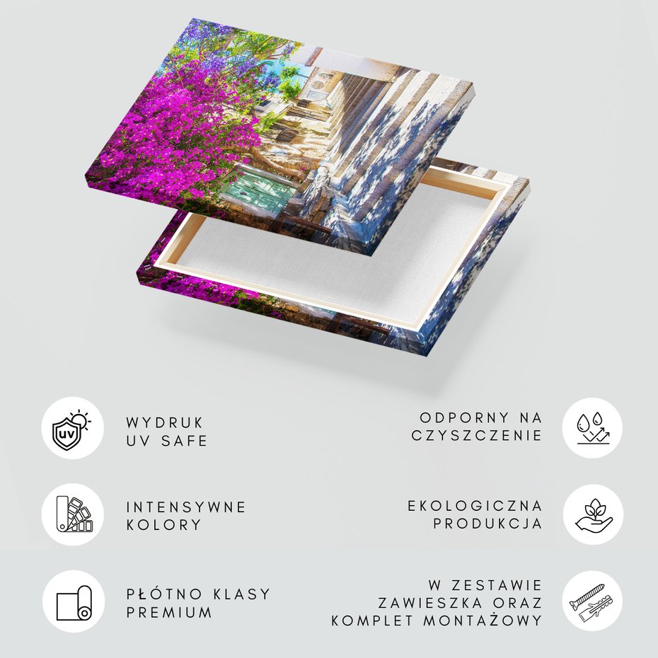 Obraz na płótnie - kwiaty, uliczka, schody