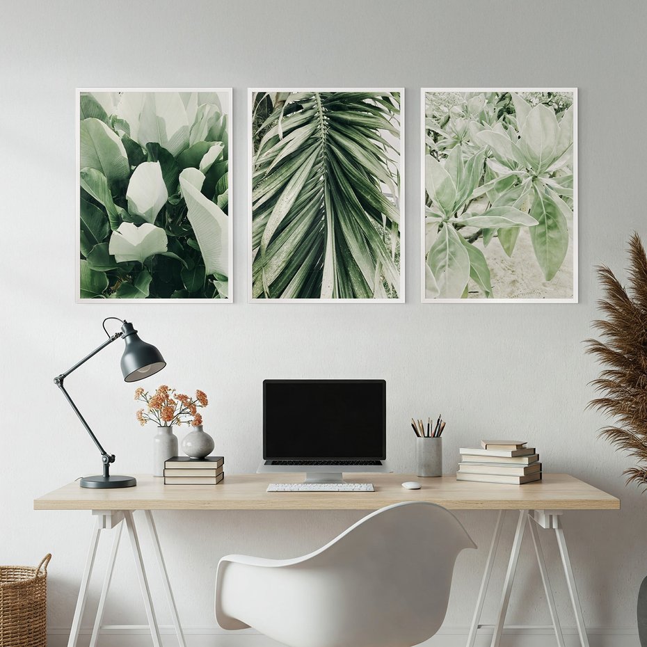 Zestaw obrazy w ramie, plakaty - liście, tropikalne, roślina - rama biała