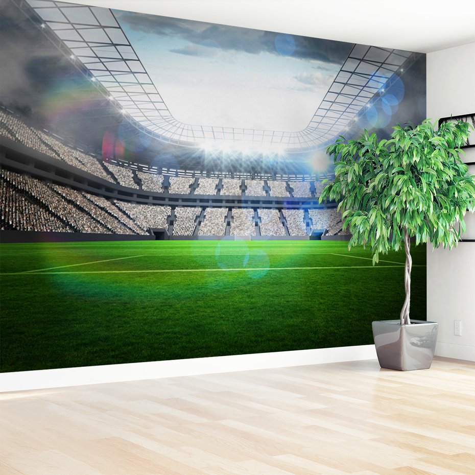 Fototapeta - stadion, sport, trawa