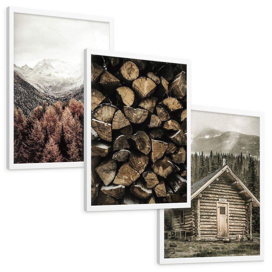 Zestaw obrazy w ramie, plakaty - góry, drewno, las - rama biała