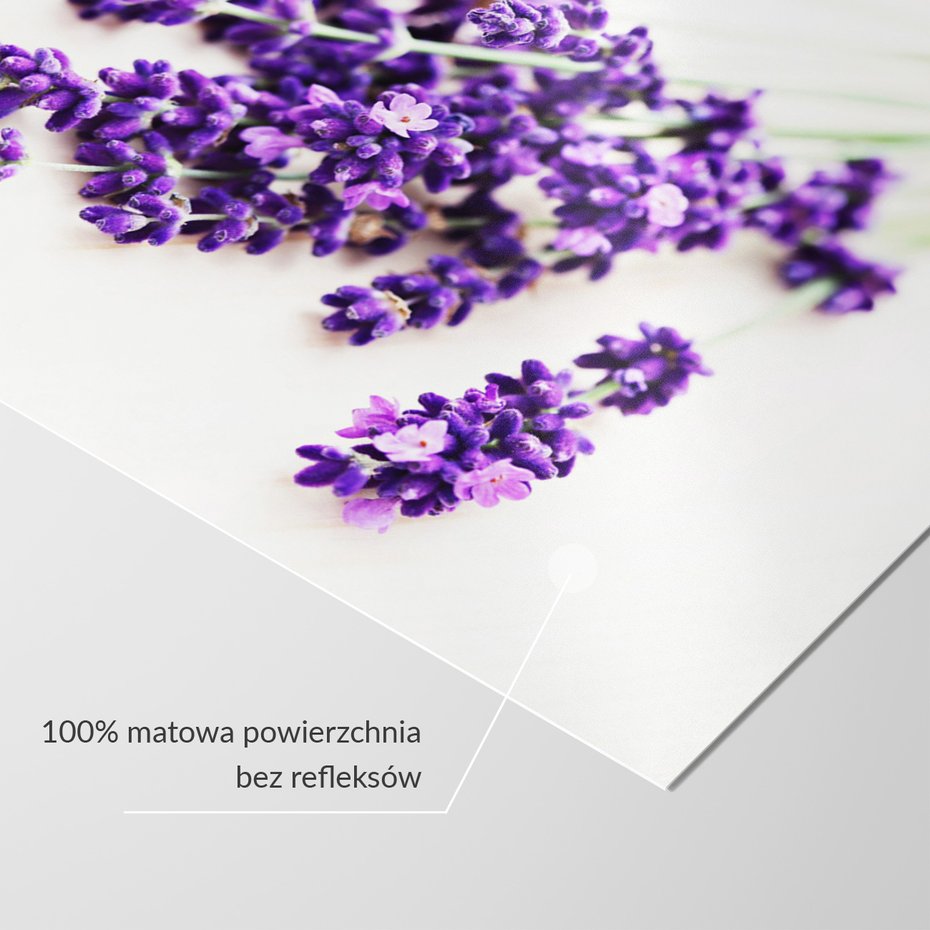 Fototapeta - lawenda, kwiaty, fioletowy