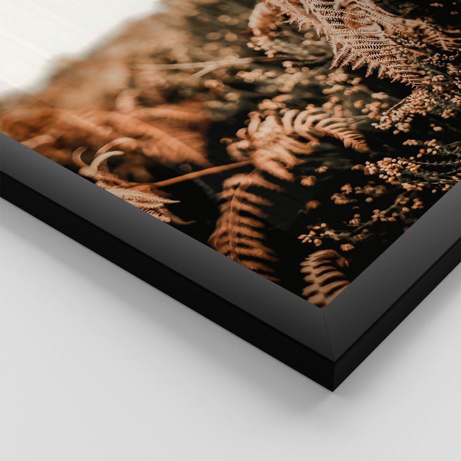 Zestaw obrazy w ramie, plakaty - liście, roślinność, brązowy - rama czarna