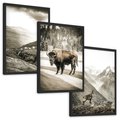 Zestaw obrazy w ramie, plakaty - krajobraz, zwierzę, góry - rama czarna