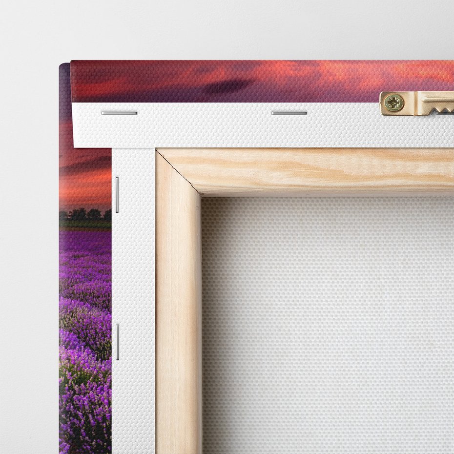 Obraz na płótnie - lawenda, pole, zachód słońca