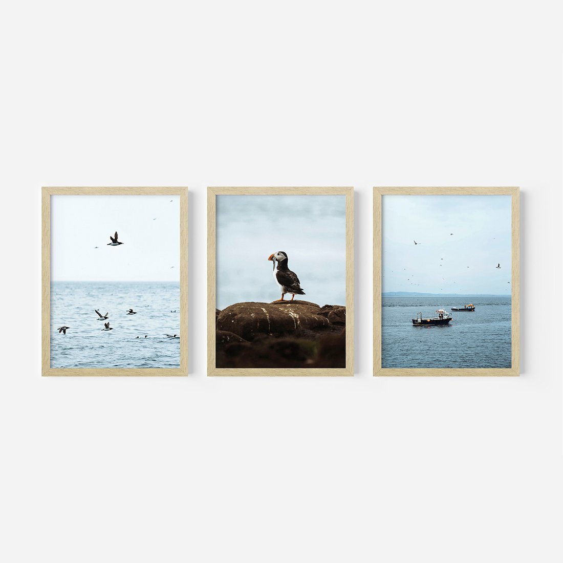 Zestaw obrazy w ramie, plakaty - ptaki, morze, łodzie - rama drewno