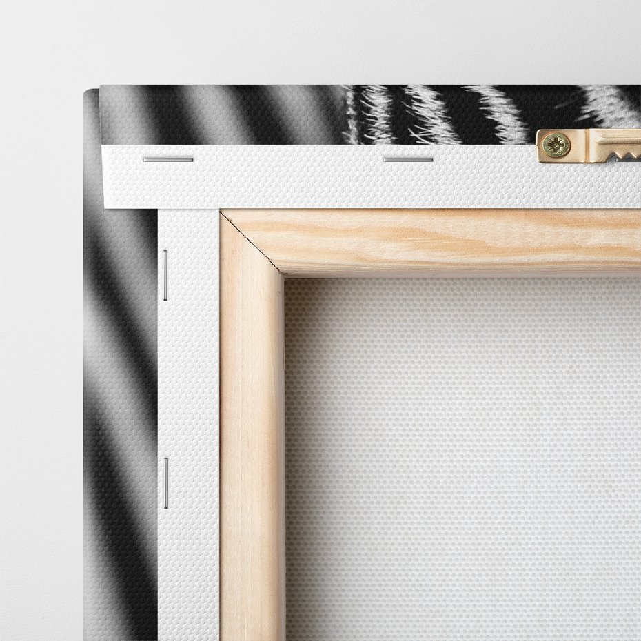 Obraz na płótnie - zebra, zwierzę, paski