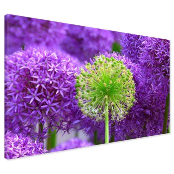 Obraz na płótnie - kwiat, fioletowy, zielony