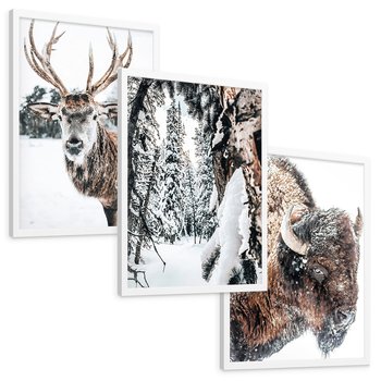 Zestaw obrazy w ramie, plakaty - zwierzęta, zima, śnieg - rama biała