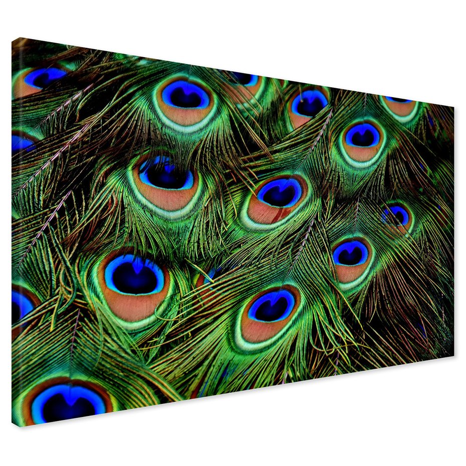 Obraz na płótnie - pawie pióra, pióra, abstrakcja