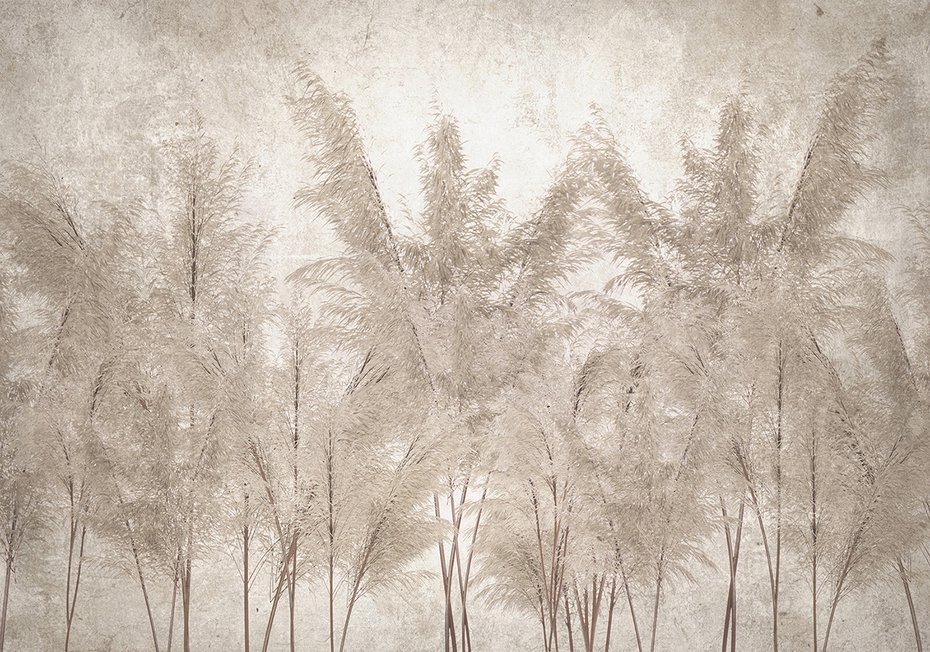 Fototapeta - beton, liście, suche