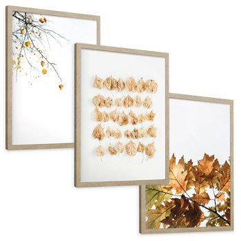 Zestaw obrazy w ramie, plakaty - liście, jesień, gałęzie - rama drewno
