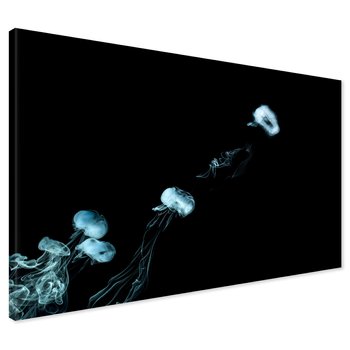 Obraz na płótnie - abstrakcja, dym, kosmos