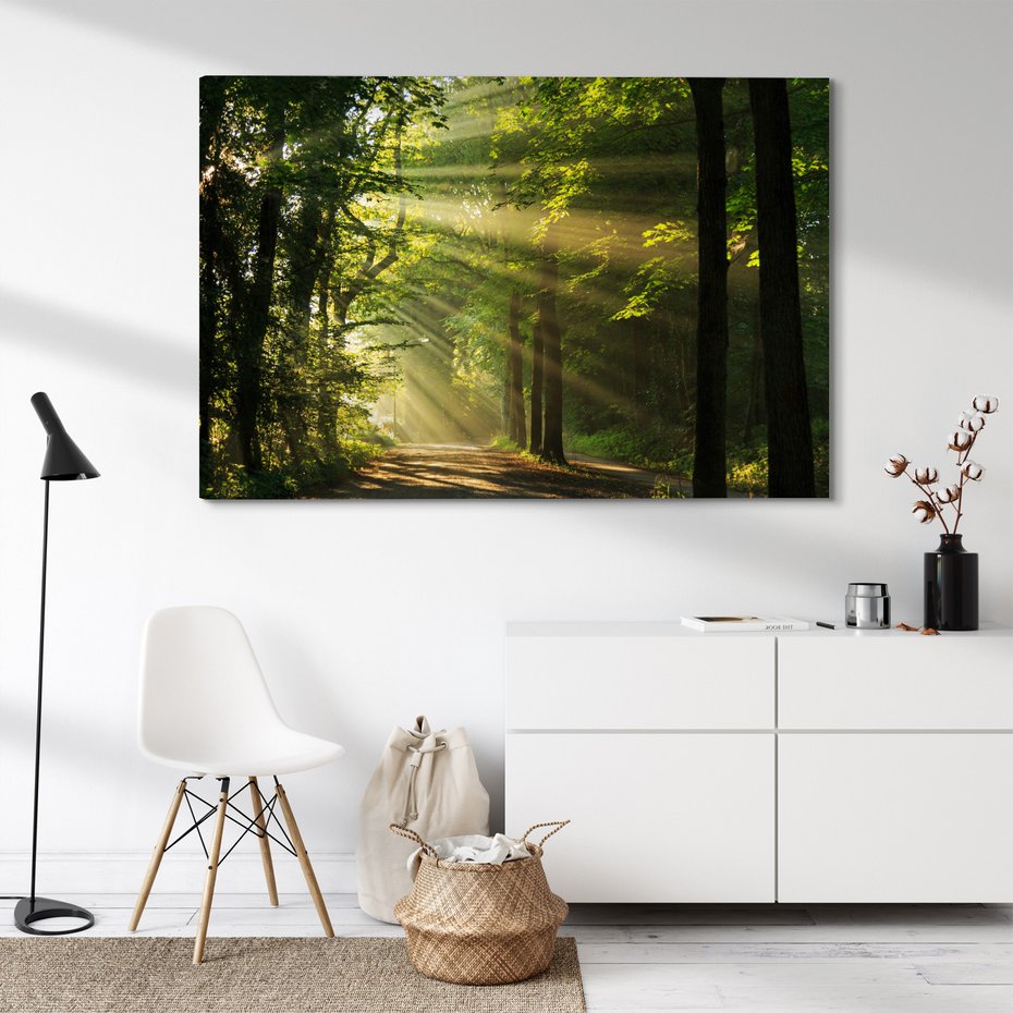 Obraz na płótnie - las, światło, drzewa