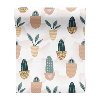 Tapeta - kaktusy, rośliny, doniczki