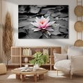 Obraz na płótnie - kwiat, lilia wodna, staw